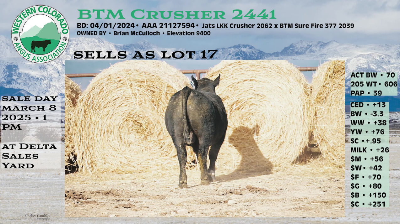 LOT 17